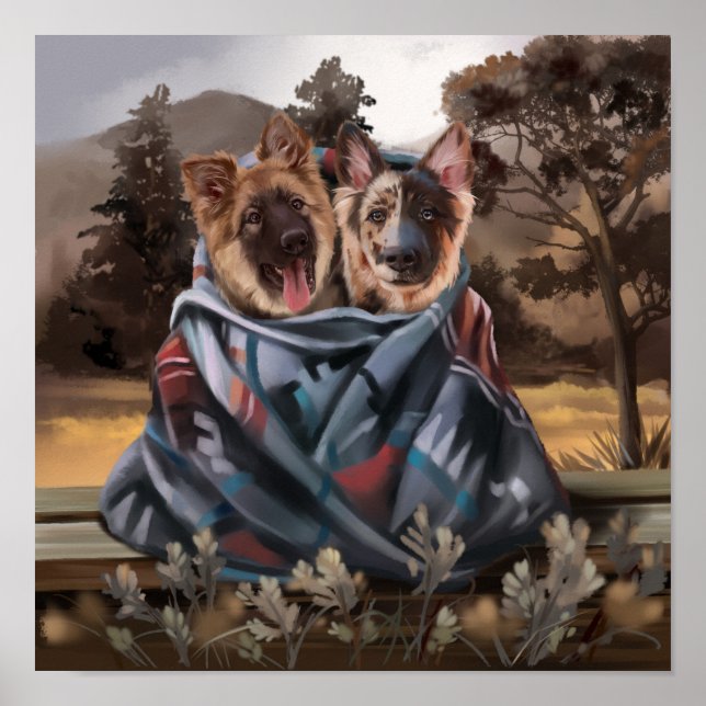 Two cute fluffy puppies wrapped in a blanket	 poster (Front)