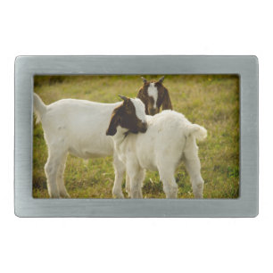 Two Cute Goats in Pasture Belt Buckle