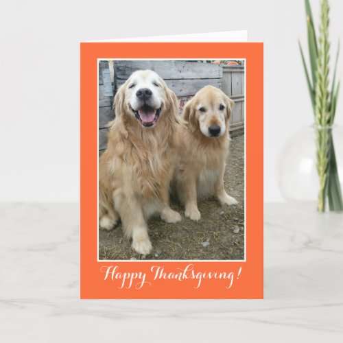 Two Cute Golden Retriever Dogs Thanksgiving Holiday Card