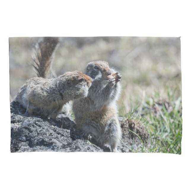 Two cute ground squirrels (gophers, evrazki) pillow case (Front)