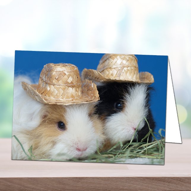 Two Cute Guinea Pigs Greeting Card (Creator Uploaded)