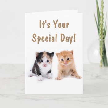 Two Cute Kittens Birthday Card by Therupieshop at Zazzle