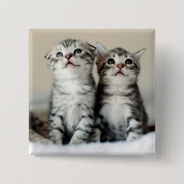 Two Cute Kittens Button (Front)