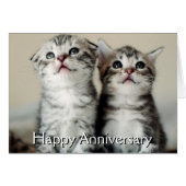 Two Cute Kittens Cards (Front Horizontal)