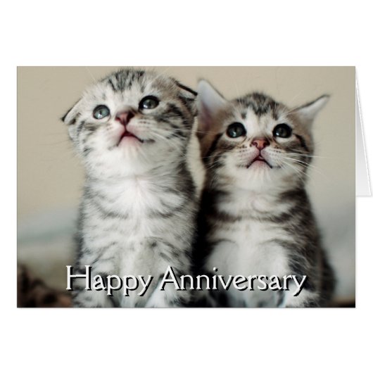 Two Cute Kittens Cards (Front Horizontal)