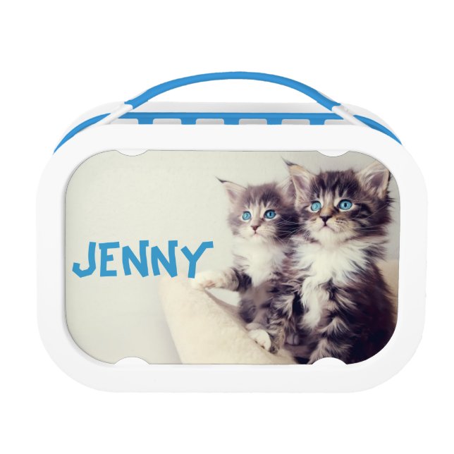 Two Cute Kittens Cat Lunch Box School (Front)