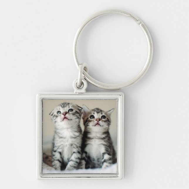 Two Cute Kittens Keychain (Front)