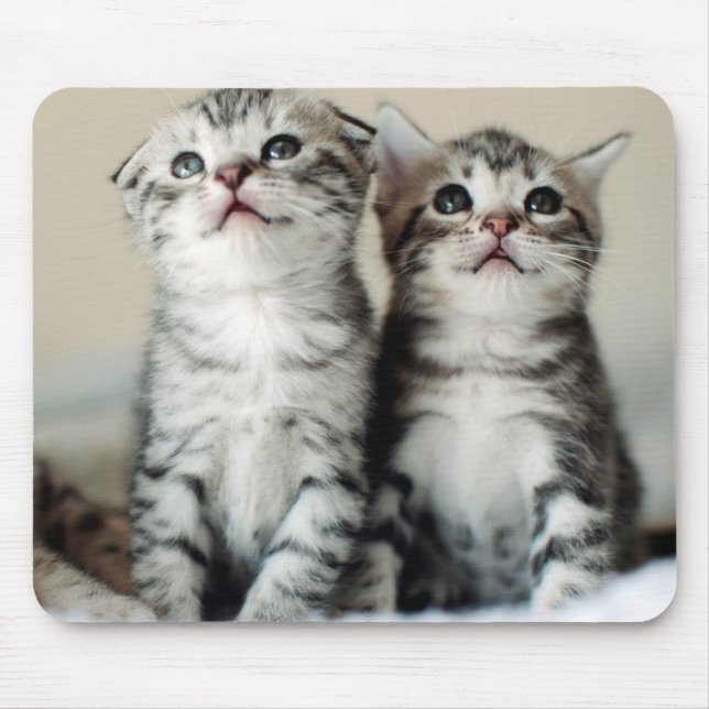 Two Cute Kittens Mouse Pad (Front)
