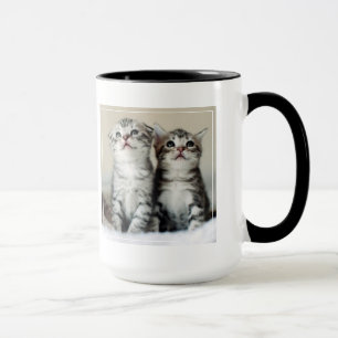 Two Cute Kittens Mug