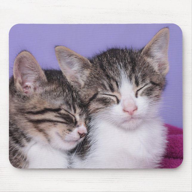 Two Cute Kittens Napping Mouse Pad (Front)