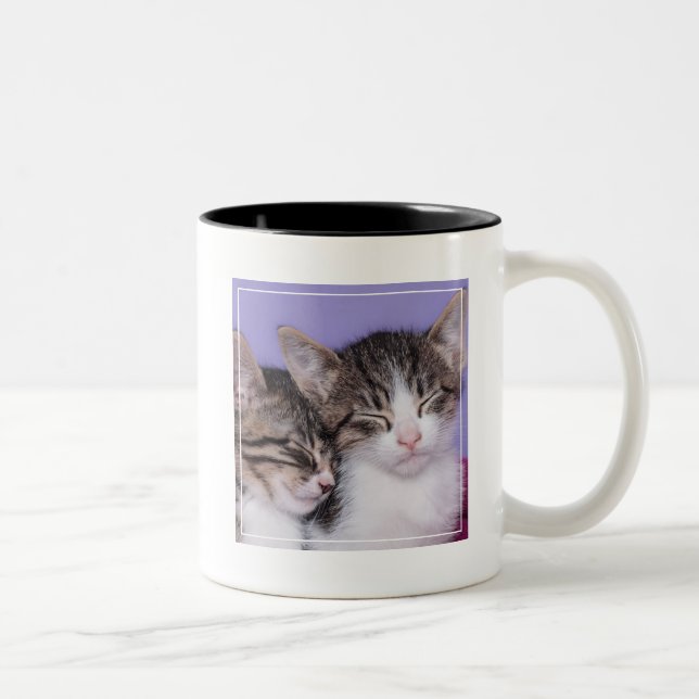 Two Cute Kittens Napping Two-Tone Coffee Mug (Right)