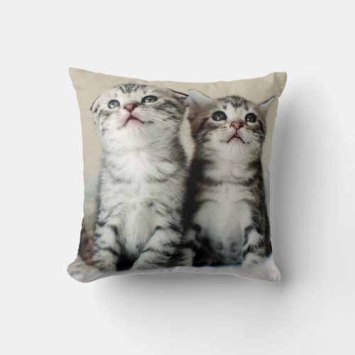 Two Cute Kittens Throw Pillow
