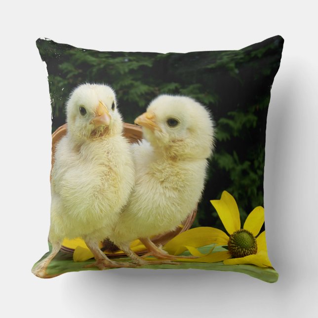 two cute little chick throw pillow (Front)
