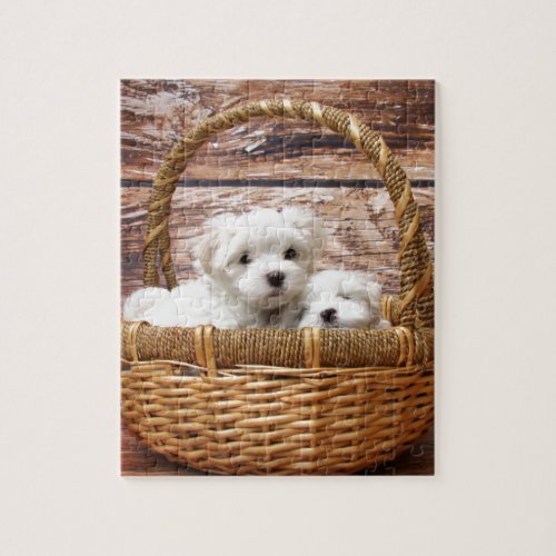 Two cute Maltese puppies sitting in a basket Jigsaw Puzzle