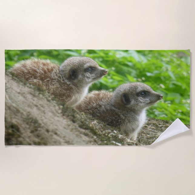 Two Cute Meerkats Beach Towel (Front)
