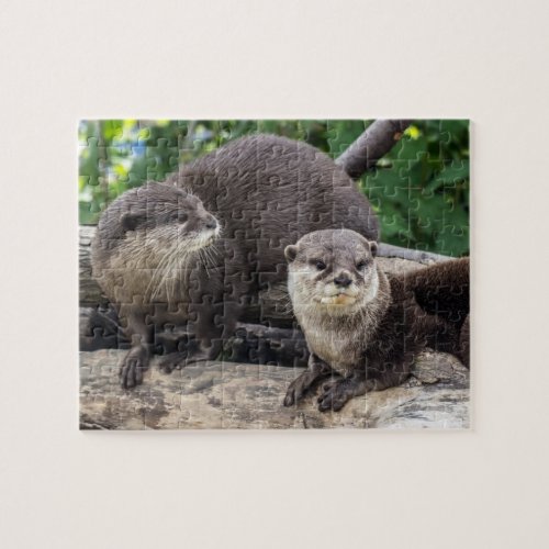 Two Cute Otters  Otter Jigsaw Puzzle