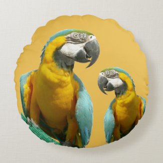 Two Cute Parrots Round Pillow