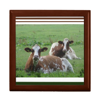 Two Cute White-Brown Cows Keepsake Box