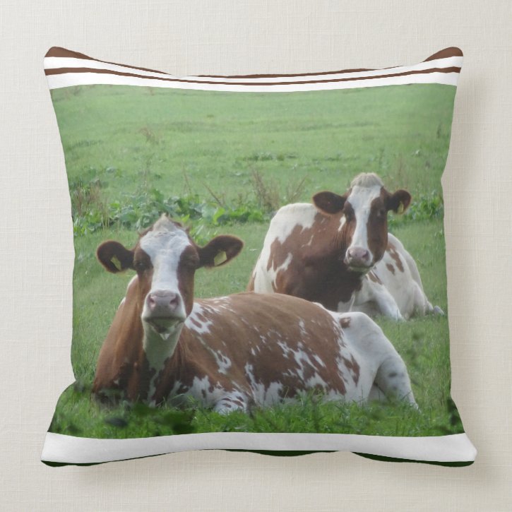 Two Cute White-Brown Cows Pillow