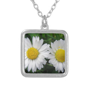 Two cute, white daisies silver plated necklace