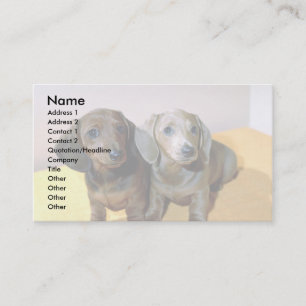 Two Dachshund pups Business Card