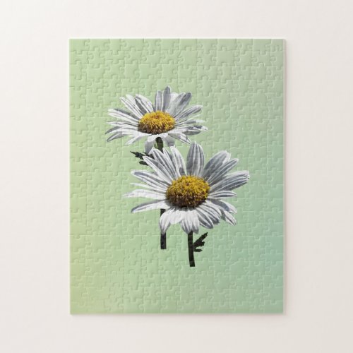 Two Daisies in Sunshine Jigsaw Puzzle