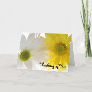 Two Daisies Thinking of You  Card