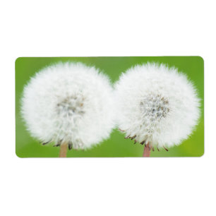 Two dandelions label