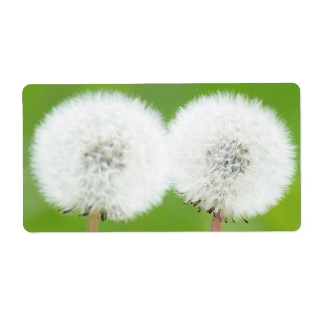Two dandelions label (Front)