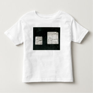 Two decorated seals depicting a zebu and a toddler t-shirt