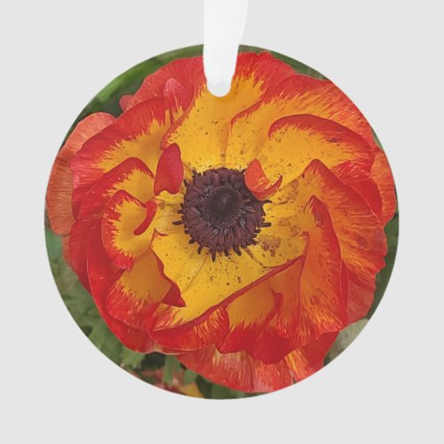 Two different poppy photo designs on each side ornament