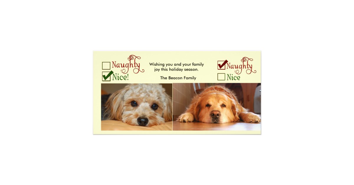 two-dog-christmas-card-photo-template-zazzle