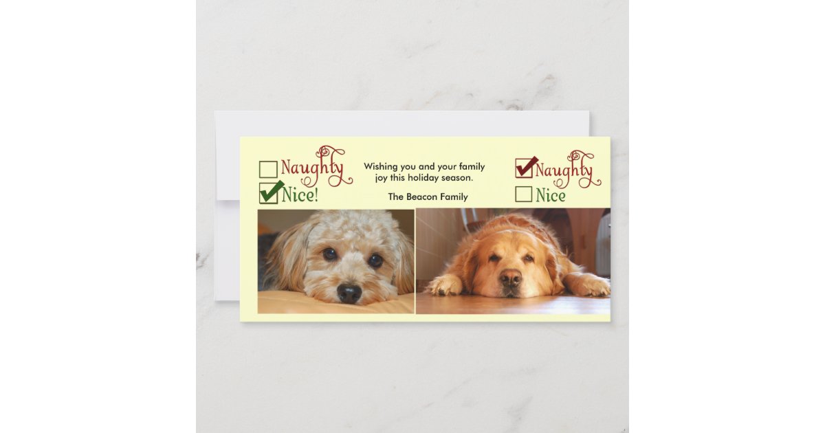 Two dog Christmas card photo template Zazzle