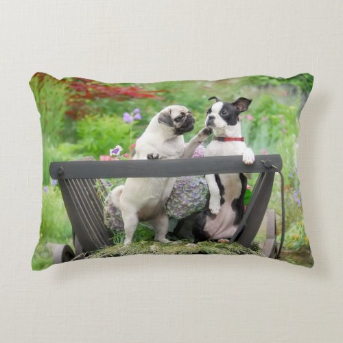 Two dogs a pug puppy and Boston Terrier in a cart Accent Pillow