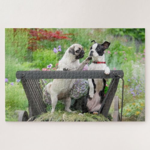 Two dogs a pug puppy and Boston Terrier in a cart Jigsaw Puzzle