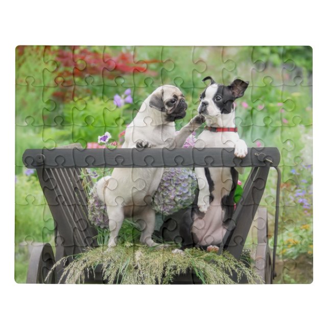 Two dogs a pug puppy and Boston Terrier in a cart Jigsaw Puzzle (Puzzle Horizontal)
