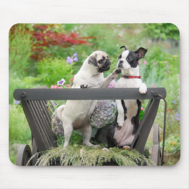 Two dogs a pug puppy and Boston Terrier in a cart Mouse Pad (Front)