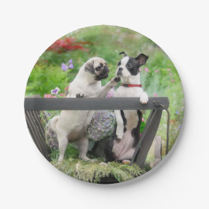 Two dogs a pug puppy and Boston Terrier in a cart Paper Plates
