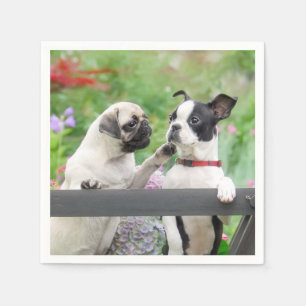 Two dogs a pug puppy and Boston Terrier together - Napkins