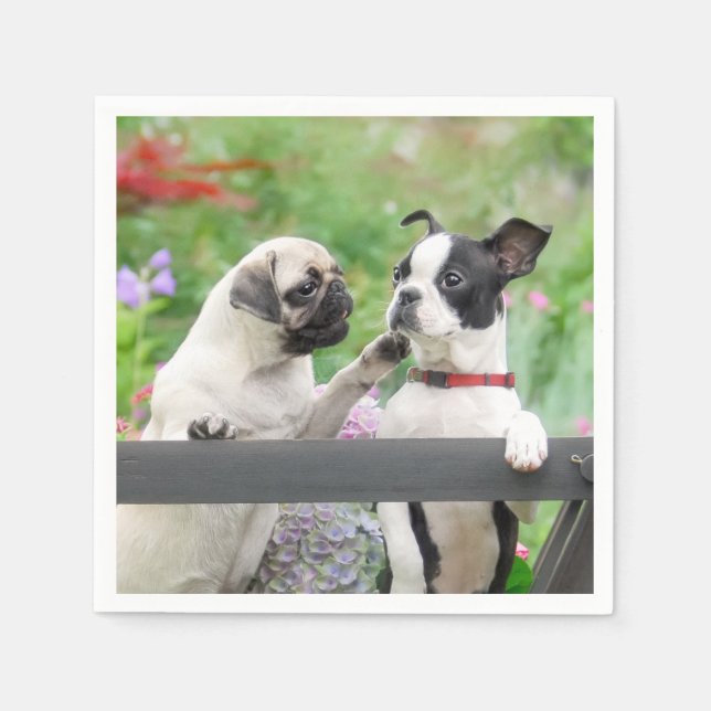 Two dogs a pug puppy and Boston Terrier together - Napkins (Front)