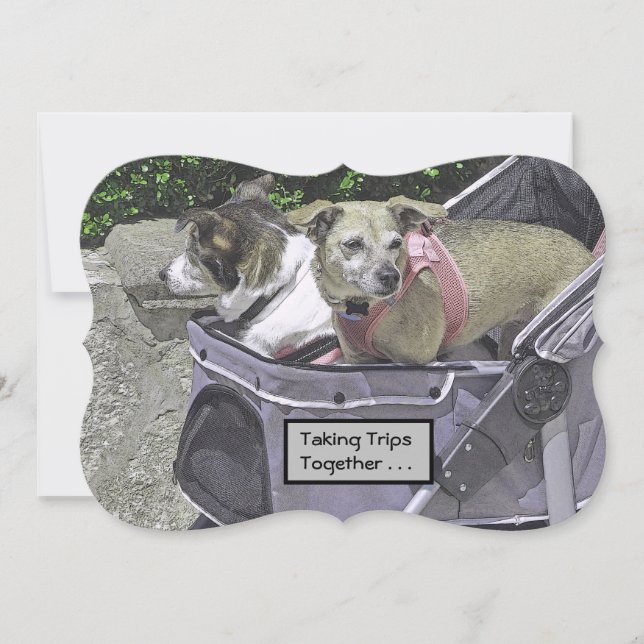 TWO DOGS IN A STROLLER/HAPPY ANNIVERSARY (Front)