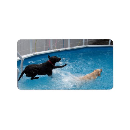 Two dogs jumping into a swimming pool label