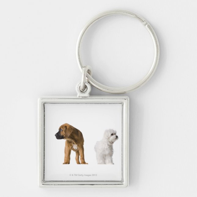 Two Dogs Keychain (Front)