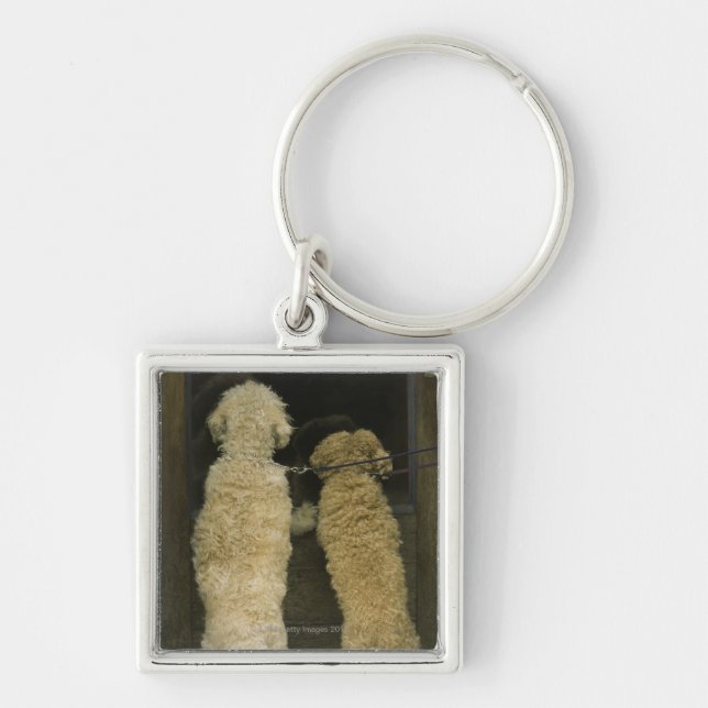 Two dogs looking in door window, rear view keychain (Front)