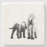 Two Dogs, One View Stone Coaster