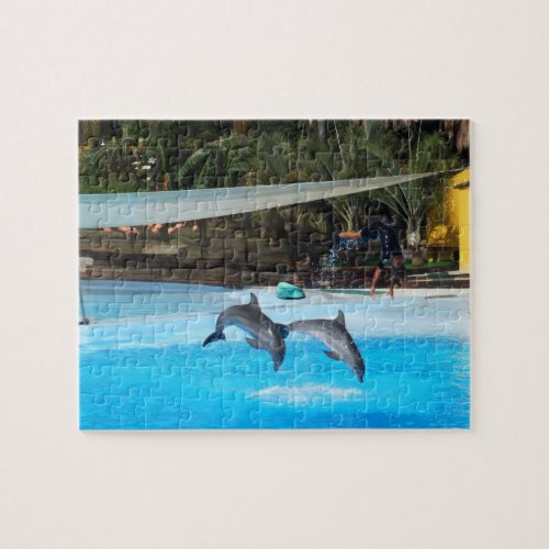 Two dolphins jigsaw puzzle