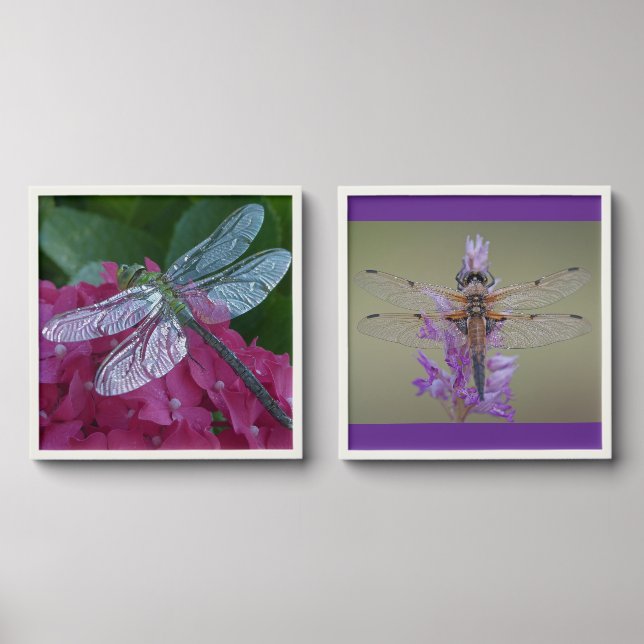 Two Dragonflies  Peel And Stick Photo Tile (Front Set)