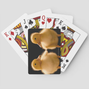 Two ducklings looking at one another poker cards