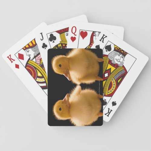 Two ducklings looking at one another poker cards