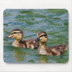 two ducklings mousepad